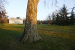 L'orangerie de Bagatelle Photo