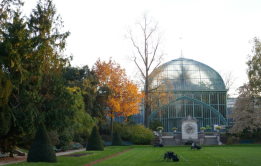 Grande serre, Serres d'Auteuil, 2018