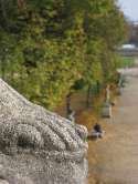 Parc de Saint-Cloud, 2011