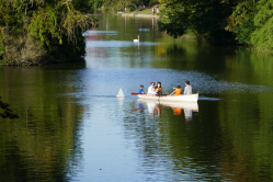 Grand lac du bois de Boulogne, 2016