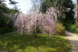 Bagatelle, 2019