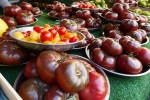 Marché d'Aligre, Paris, 12ème Photo