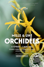 Cliquer pour afficher l'album... Album