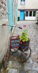 Loire-atlantique, Guérande Photo