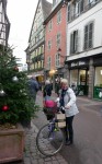 Haut-Rhin, Colmar Photo
