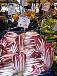 Le radicchio Photo