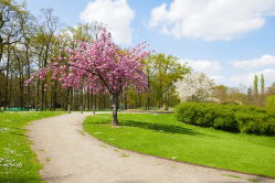 Parc floral de Vincennes, 2017