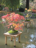Jardins d'Albert Khan, 2011