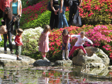 Jardins d'Albert Khan, 2016