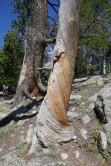 Parc de rocky mountain, USA, 2017