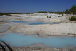 Parc de Yellowstone, 2017