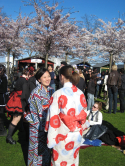 Festival des cerisiers en fleurs, Copenhague, 2009