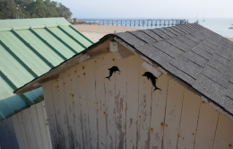 Noirmoutier, 2019