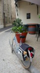 Occitanie, Aimargues Photo