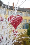 Quartier Place des six montagnes noires Photo