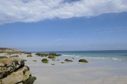Ile de Hoedic, 2018