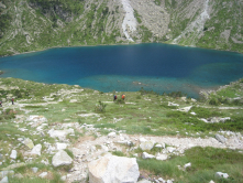 Cauterets et Nouvielle, 2013