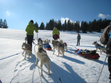 Raquettes, chien polaires, Jura, 2010