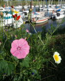 Port de Saint-Valery-sur-Somme, 2012