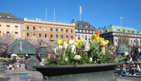 Stokholm, 2011